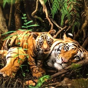 Meet your Posher, Dana